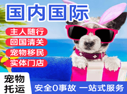 乌海航空物流国际宠物托运 【国